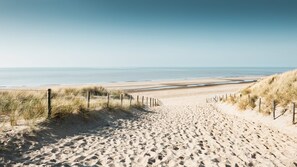 A sandy beach path with a fence and grass on either side, leading to the ocean.