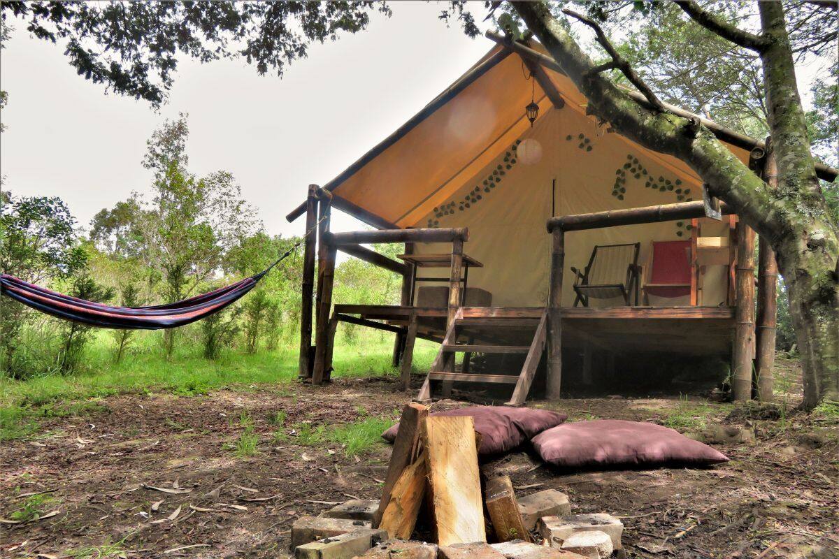 Comfort tent, 1 tweepersoonsbed, privébadkamer | Luxe beddengoed, donzen dekbedden, beddengoed