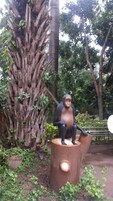 Jardín