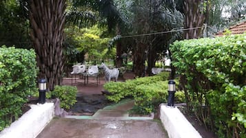 Jardí