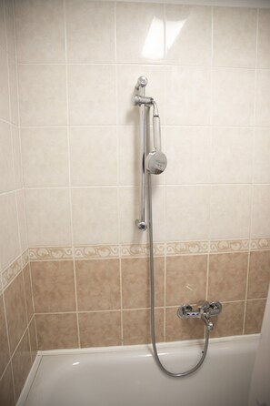 Apartment | Dusche im Bad