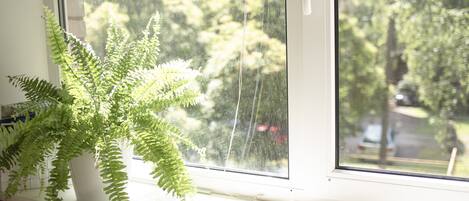 A window with a potted fern and a view of trees outside.