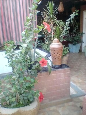 Property grounds - Happy Land Luxor (Luxor)