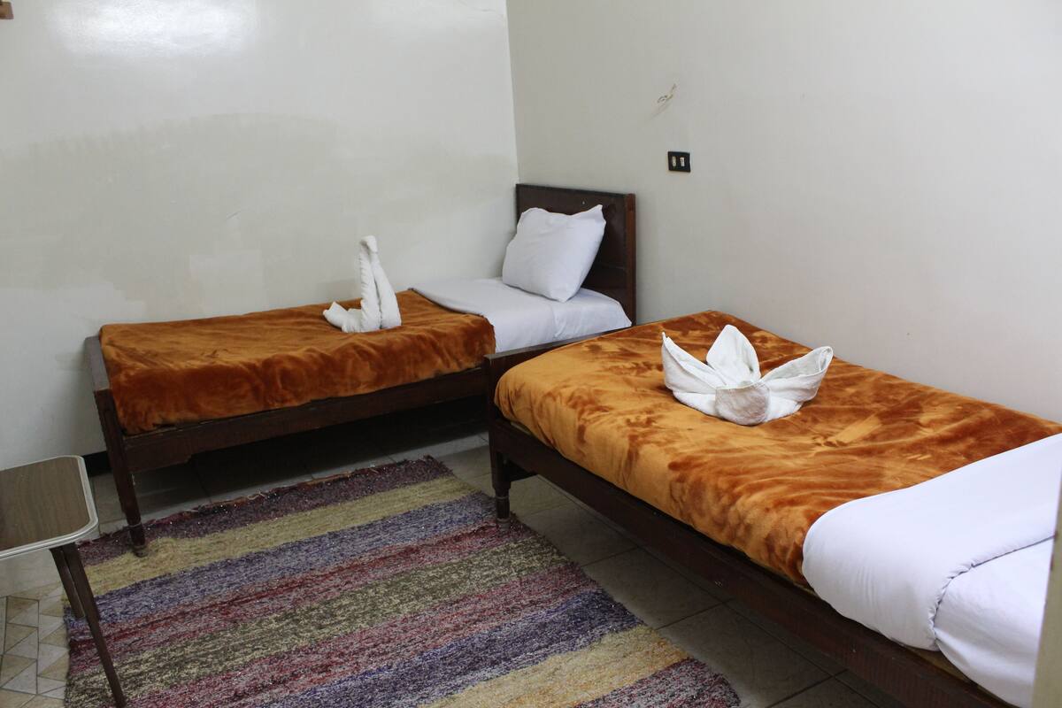 Two single beds with brown headboards and white linens, a striped rug, and a small table.