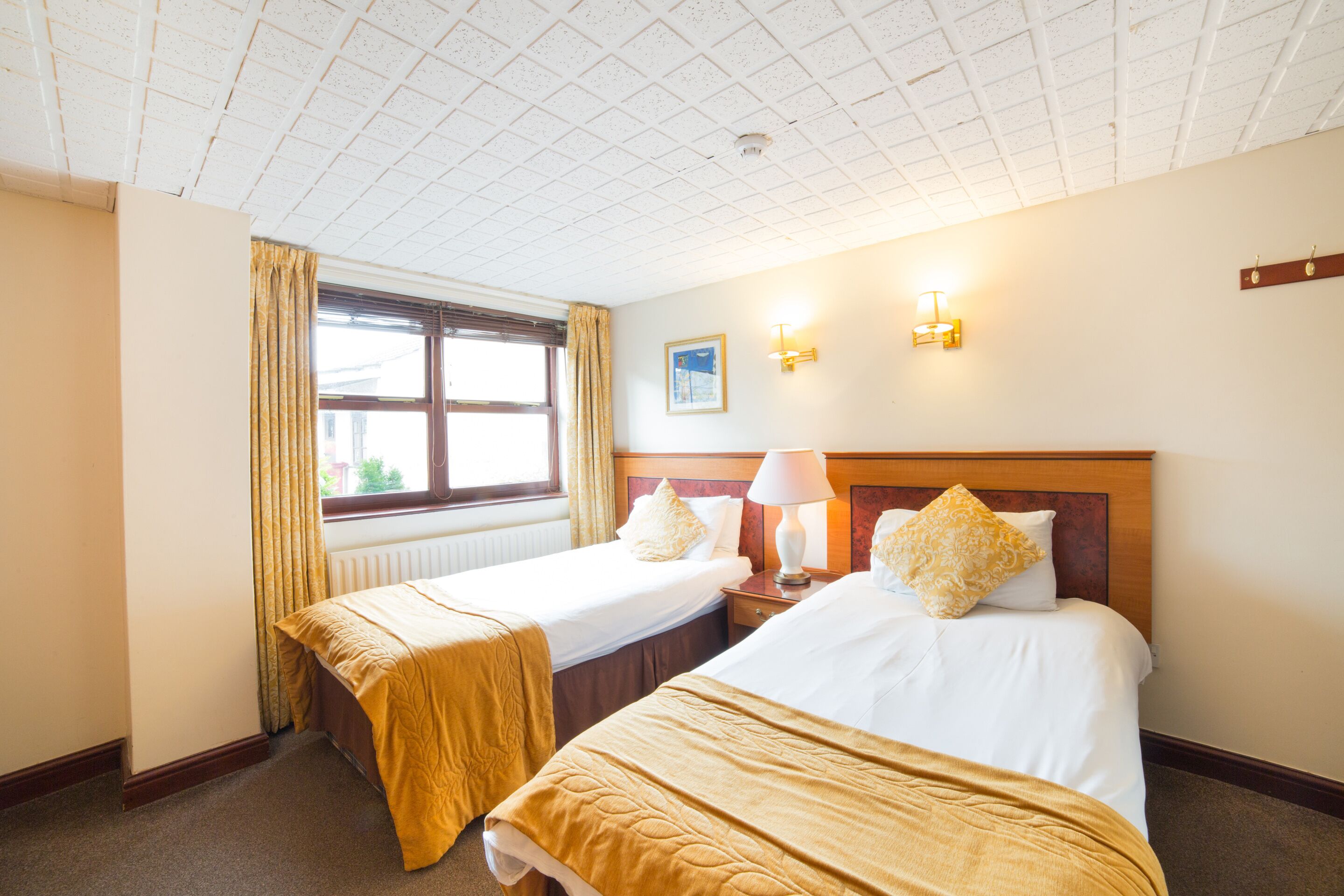 Standard Twin Room, 2 Single Beds | Iron/ironing board, WiFi, bed sheets