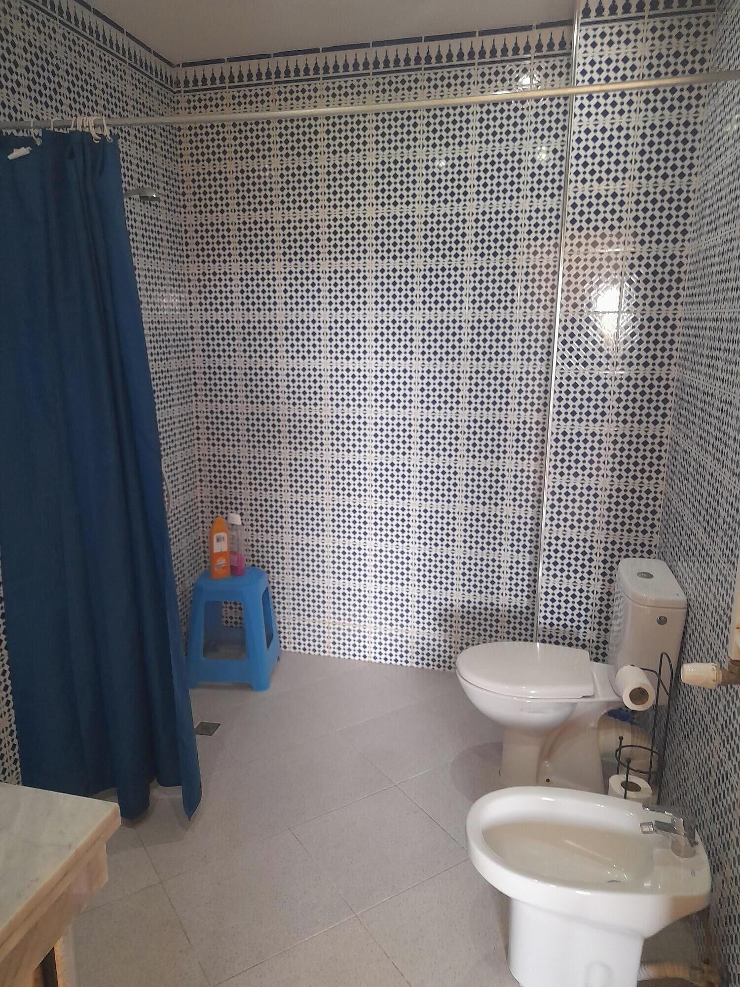 A bathroom with a toilet, bidet, and shower curtain.