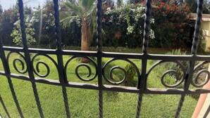 Vista a través d'una reixa de metall que mostra un jardí amb gespa i diverses plantes, incloent-hi una palmera i arbustos florits.
