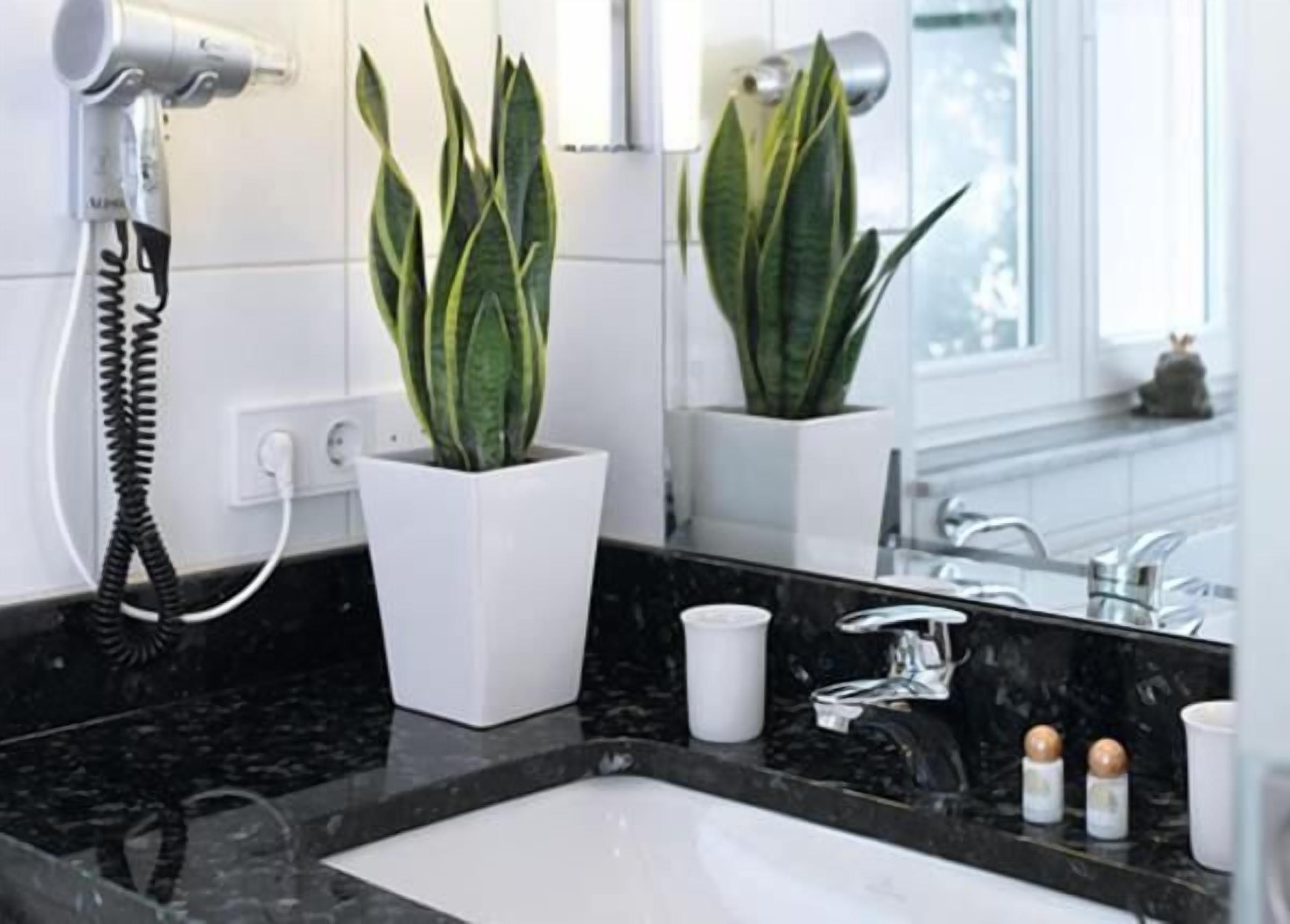 A modern bathroom with a black marble sink, a white pedestal planter with a green plant, and a mirror reflecting a window with a view of trees.