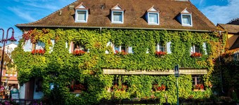 Hotel Restaurant Kaiserstuehler Hof