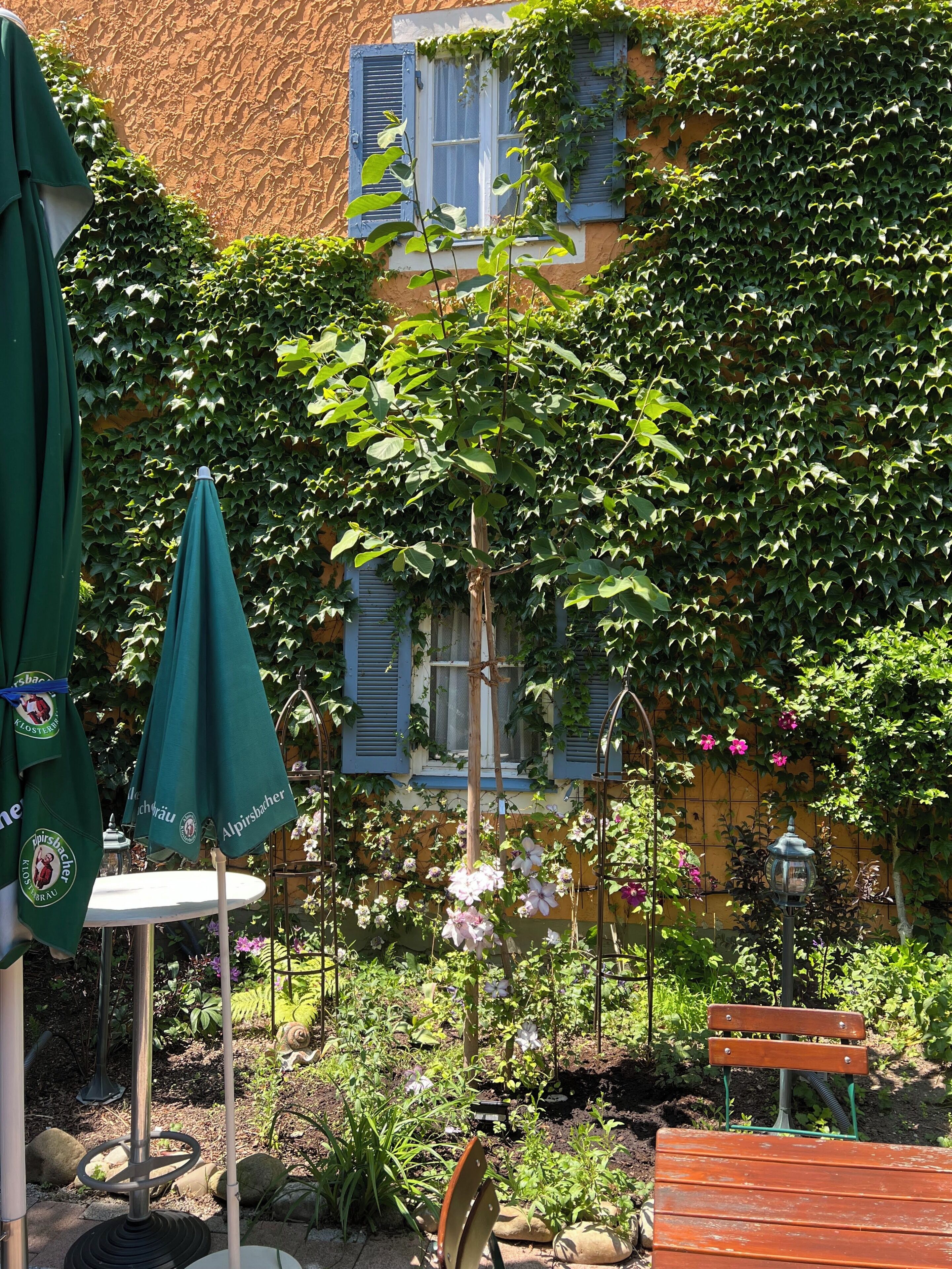 Extérieur