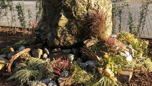 Un jardin avec un grand rocher central, entouré de différentes plantes et de plusieurs autres rochers.