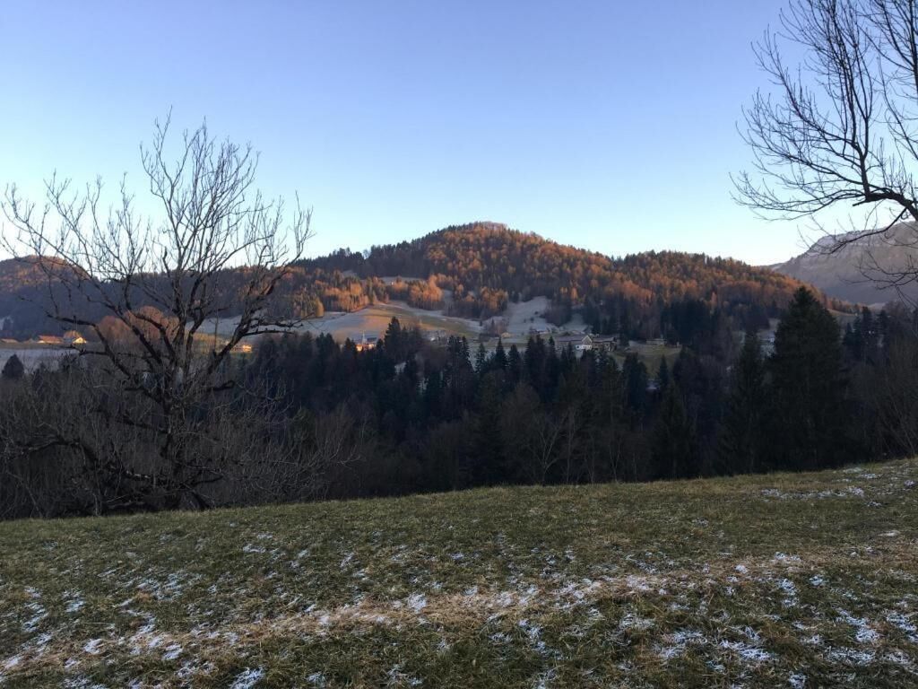 Un paisaje rural con una colina, árboles y un cielo despejado.