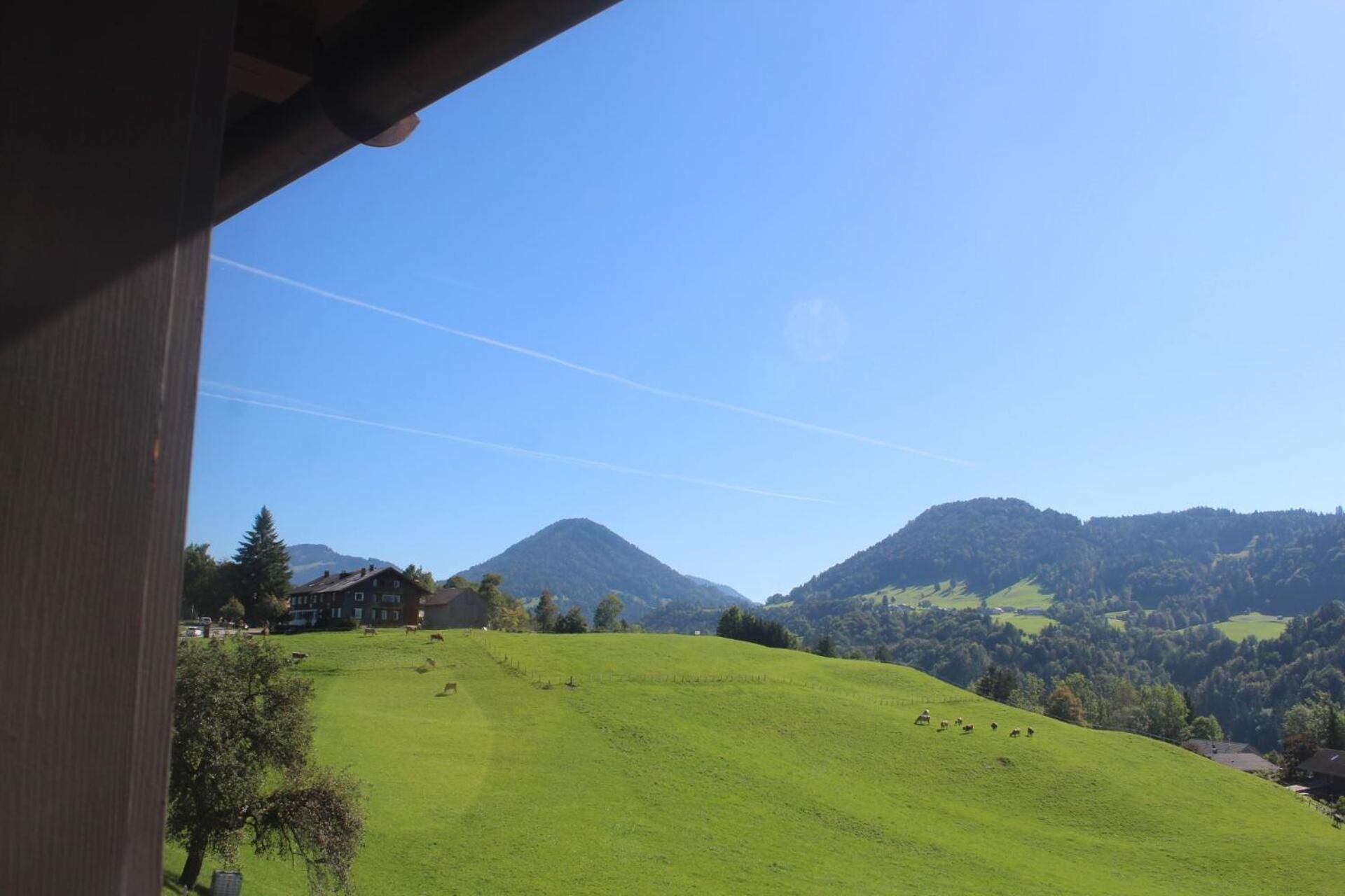 A view of a green hillside with a house and a mountain in the background.