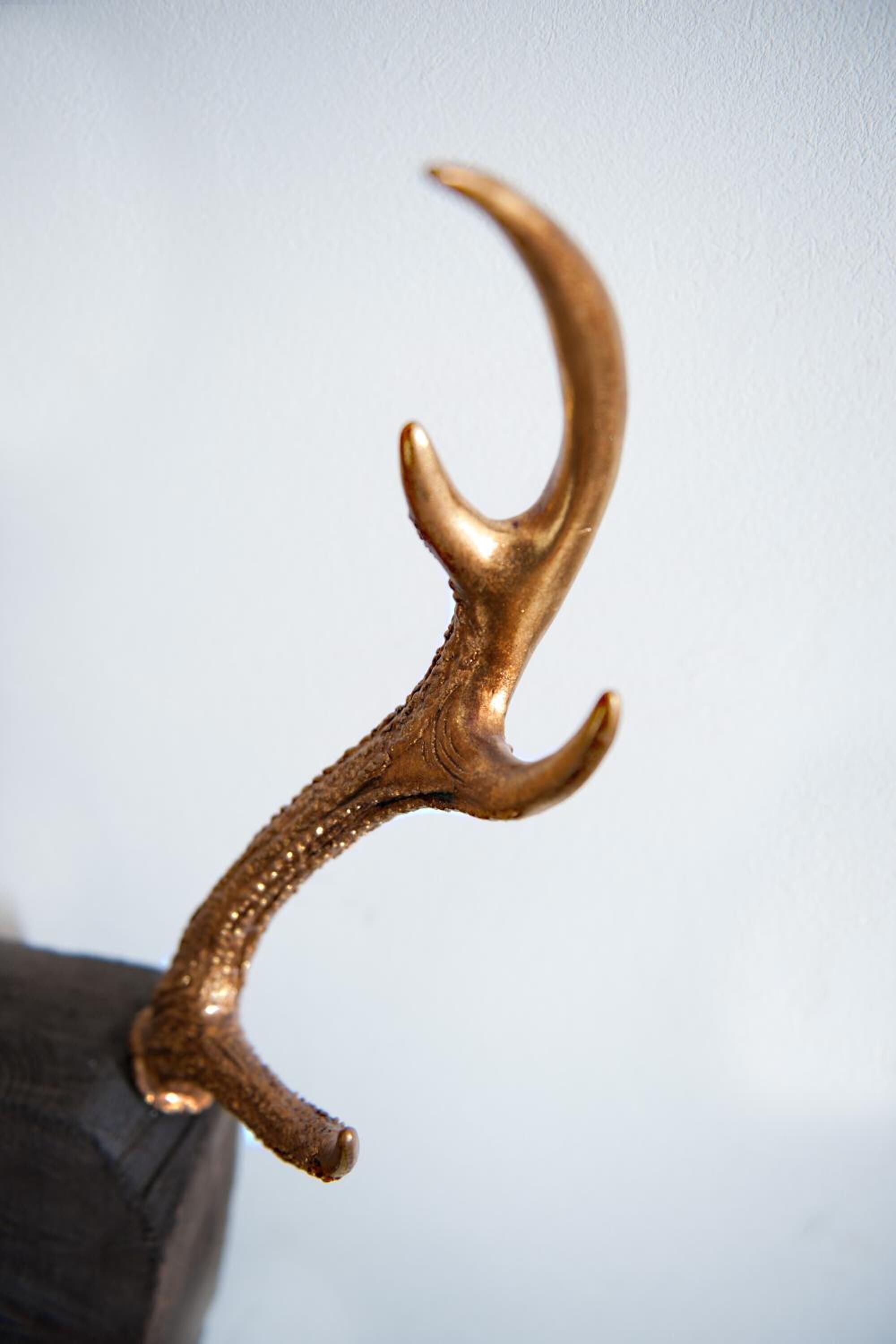 A golden antler-shaped object with a textured surface.