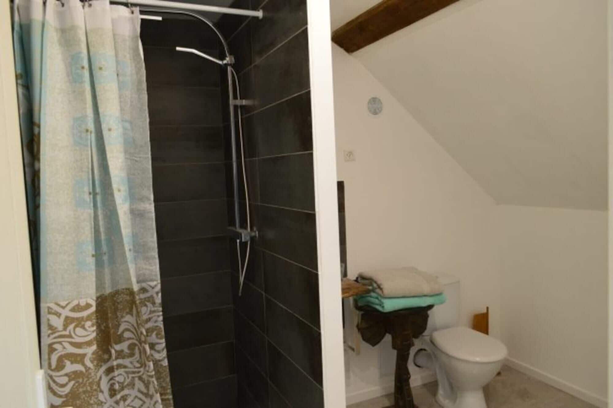 A bathroom with a shower, toilet, and a towel rack.