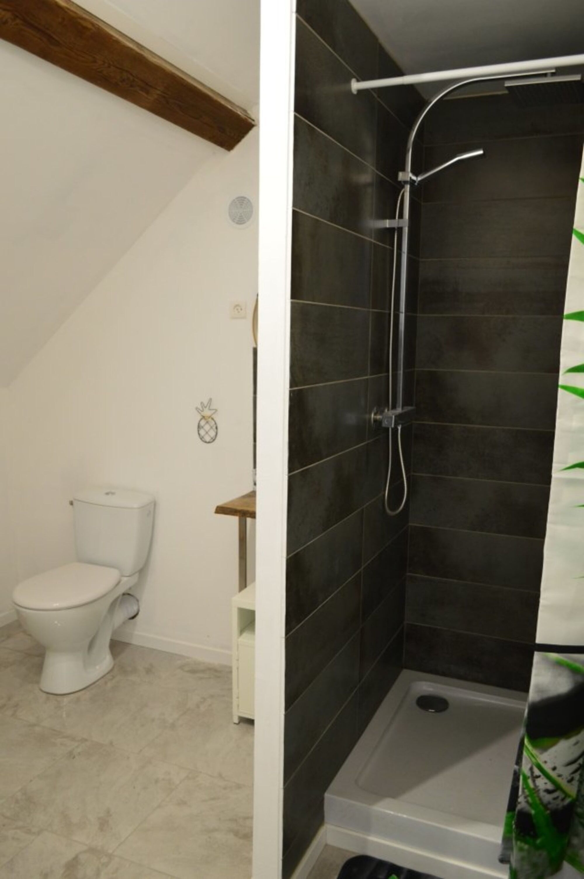 Une salle de bain avec des toilettes blanches, une douche aux carreaux foncés et une petite étagère décorée d’un ananas.