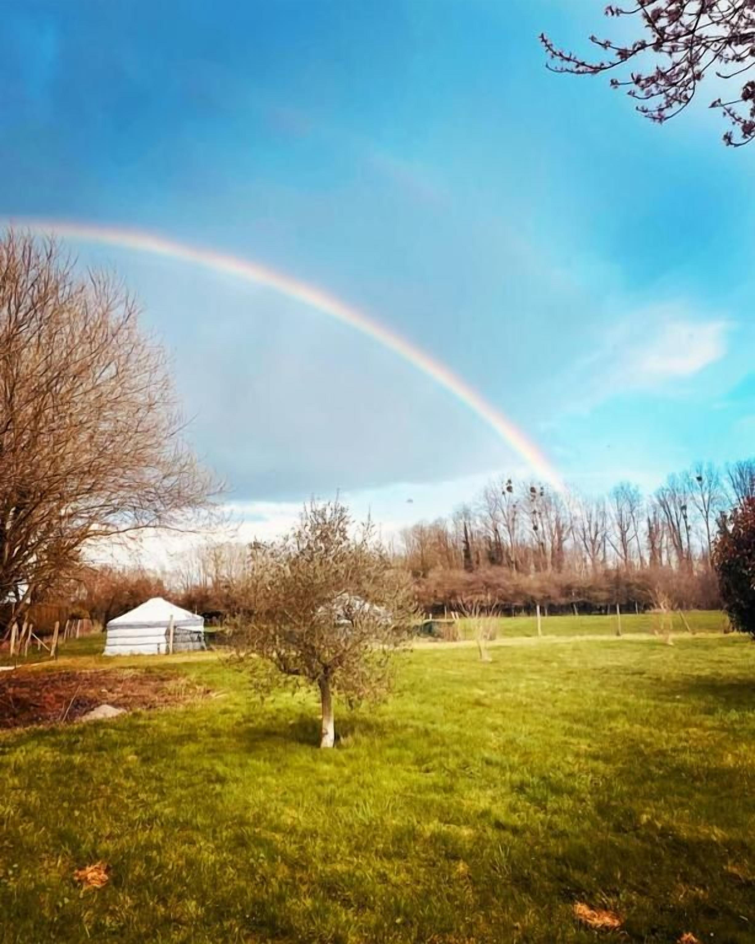 Een grasveld met een regenboog, een boom en een klein wit gebouw.