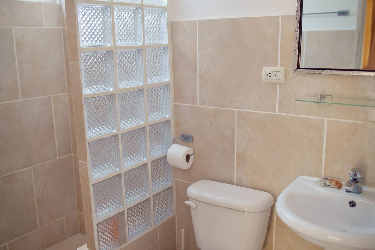 economy studio, 3 single beds, kitchenette, ground floor | bathroom | shower, towels, soap, shampoo