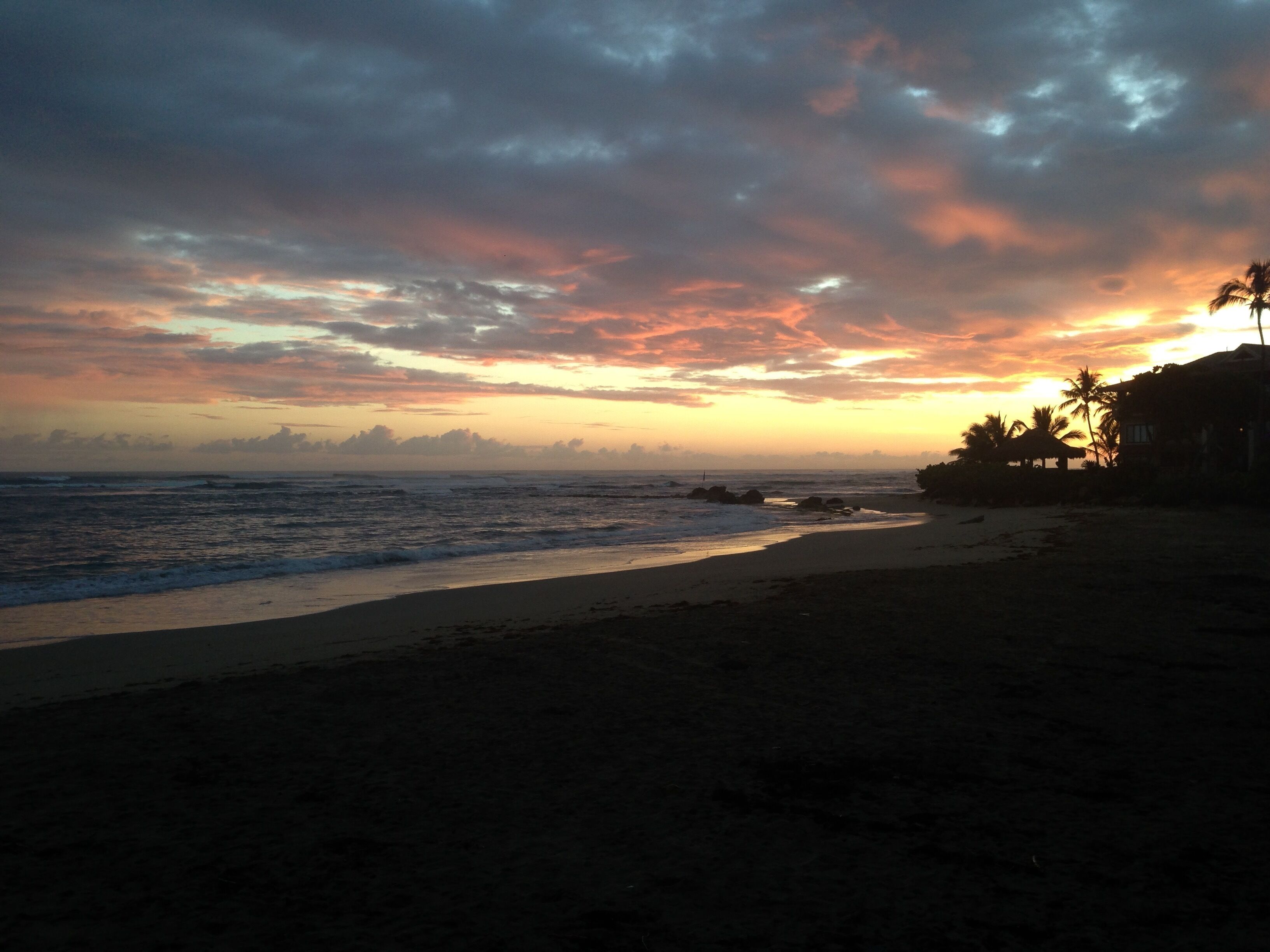 A beach with a sunset, waves, and palm trees.