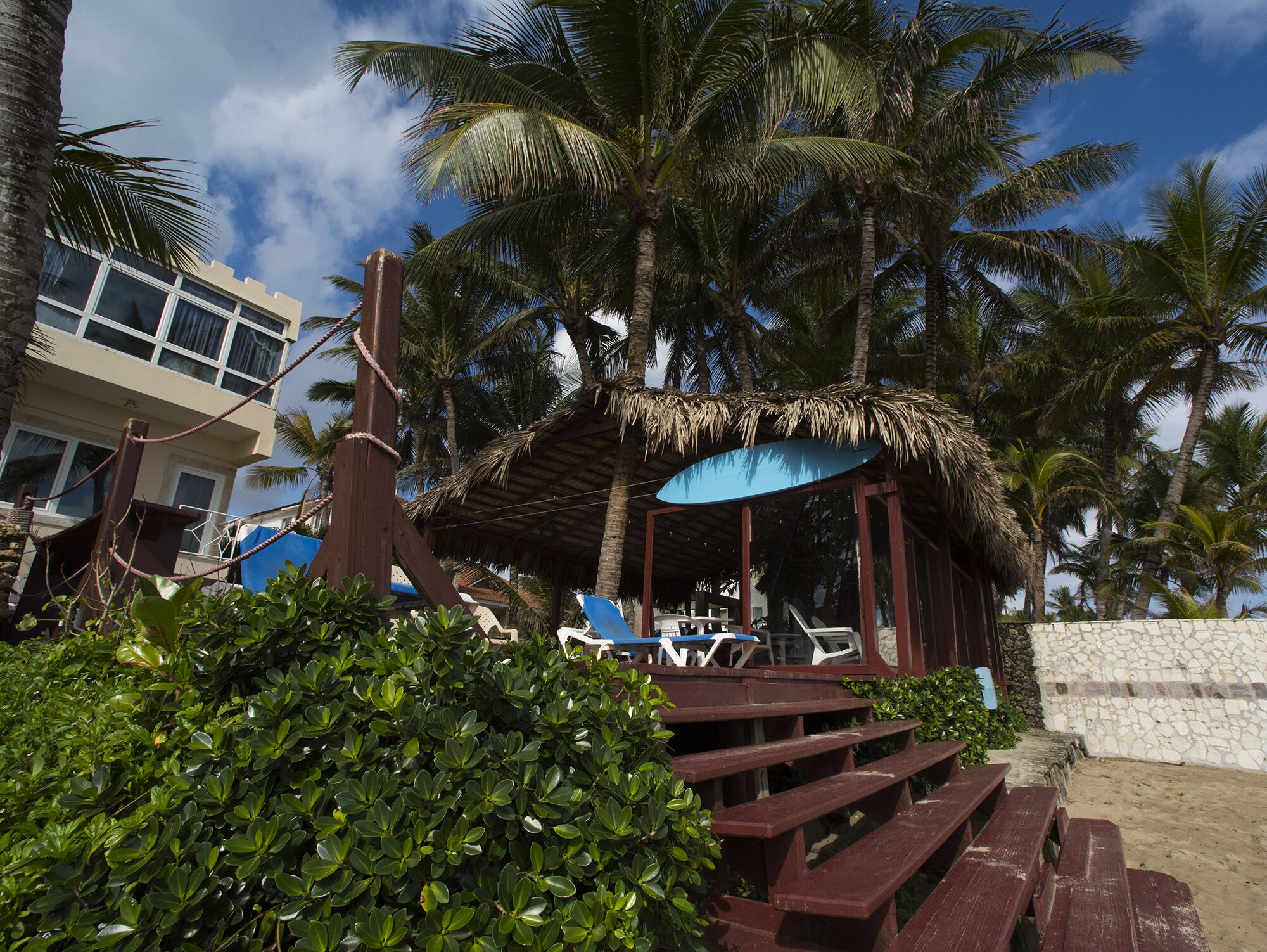 A beachside restaurant with outdoor seating, palm trees, and a thatched roof.