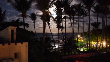 A coastal view with palm trees and a building with a red roof.