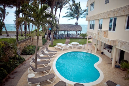 Outdoor pool, sun loungers