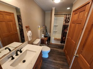 A bathroom with a sink, toilet, and shower. - Blue Moon Resort and Motel (Hill City)