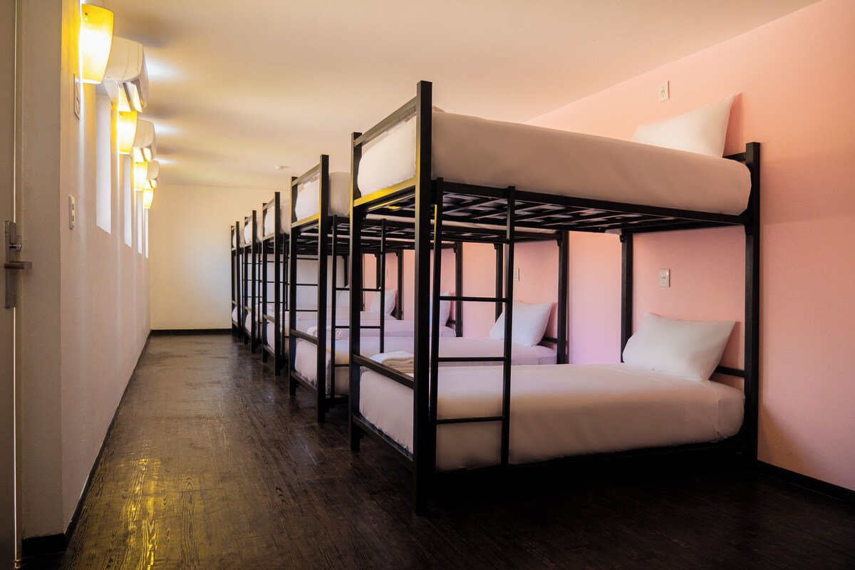 A row of bunk beds in a room with a wooden floor and a pink wall.