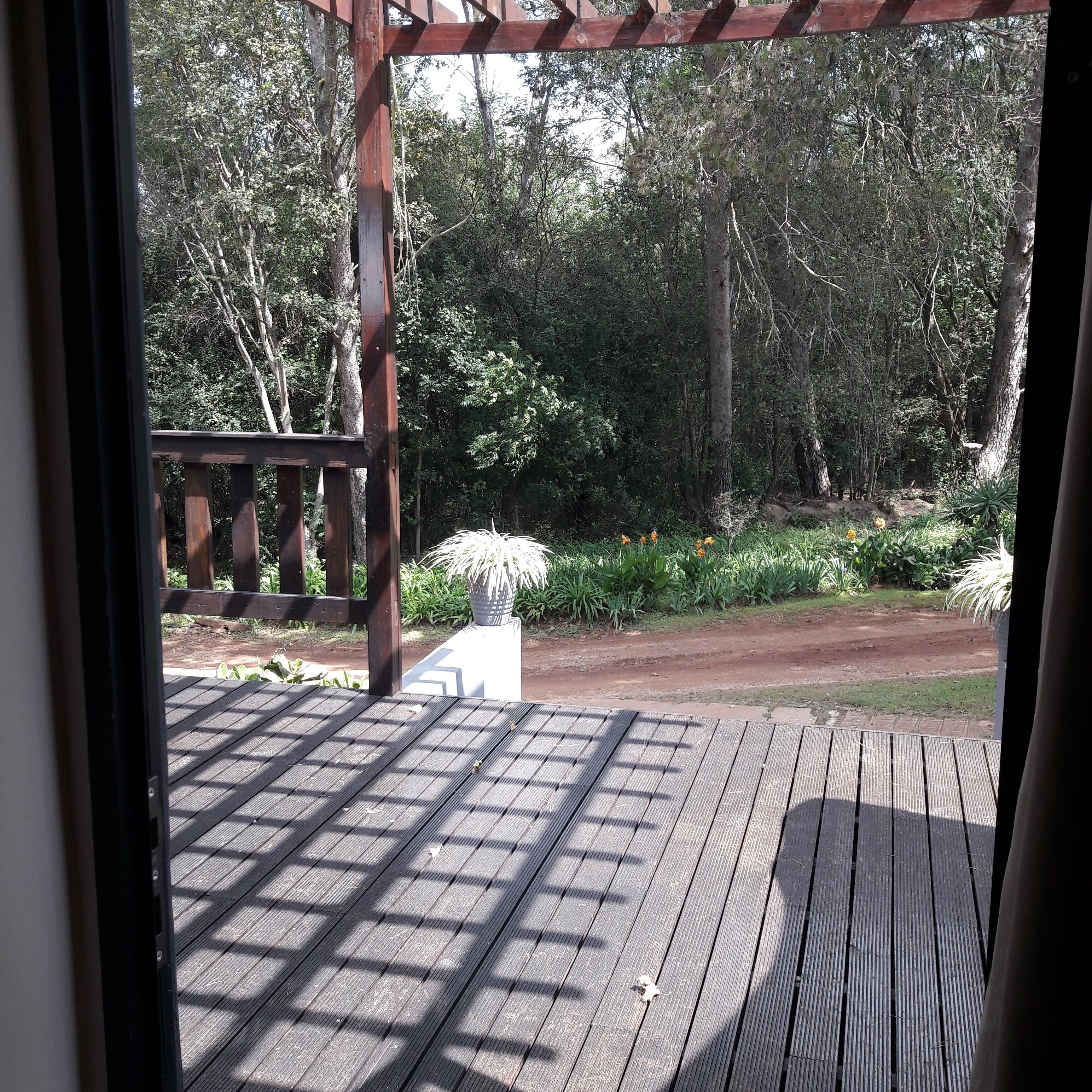 Una terraza de madera con una estructura de pérgola, rodeada de abundante vegetación y un sendero de tierra.