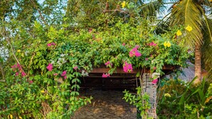 Garden - Villa Pantai Lovina (Banjar)