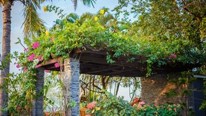 Property grounds - Villa Pantai Lovina (Banjar)