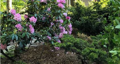 Studio OAK, modern 2-p-residence with private garden, near village, sea and dune