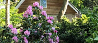 Studio OAK, modern 2-p-residence with private garden, near village, sea and dune