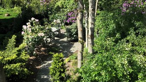 A paved garden pathway surrounded by lush greenery and flowering plants. - Studio OAK, modern 2-p-residence with private garden, near village, sea and dune (Bergen)