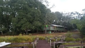 Un muelle de madera que lleva a un edificio rústico rodeado de árboles frondosos.
