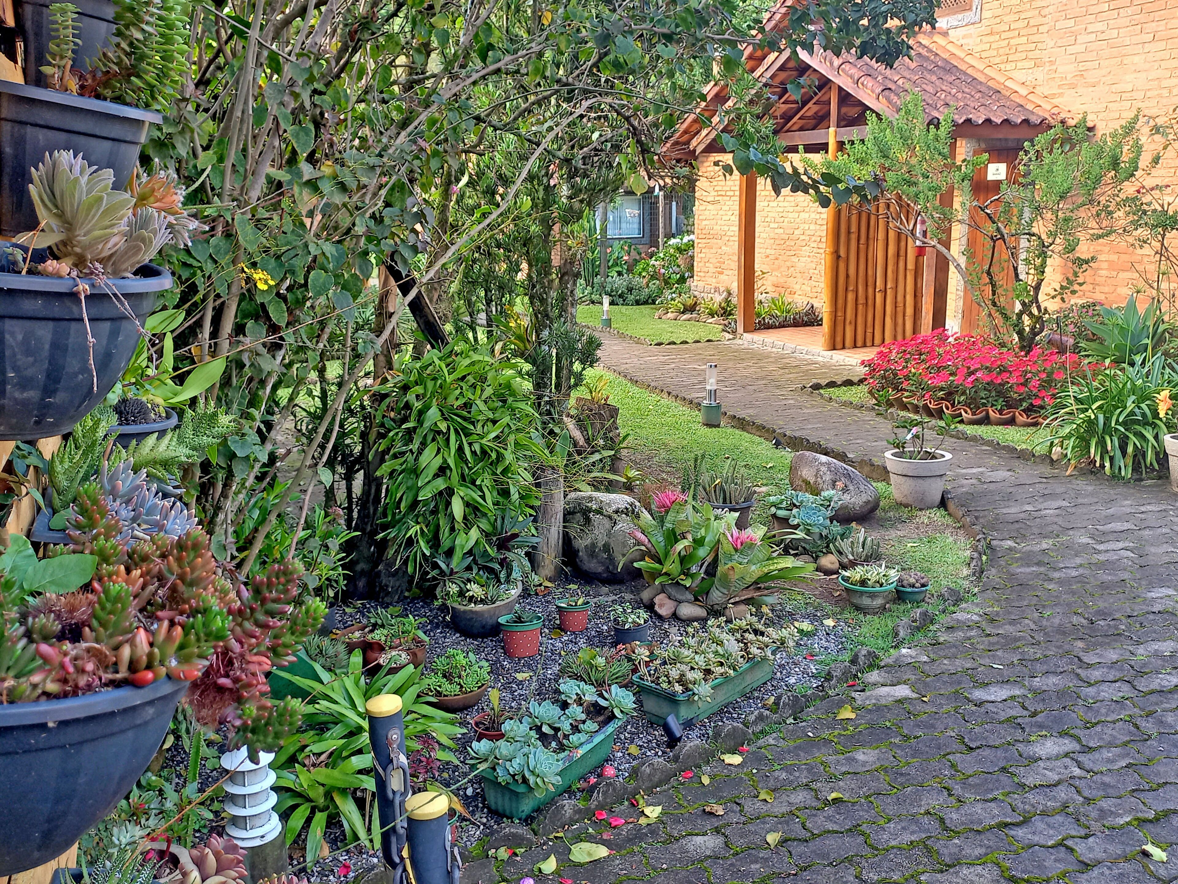 A garden with various potted plants and a brick pathway leading to a building with a tiled roof.