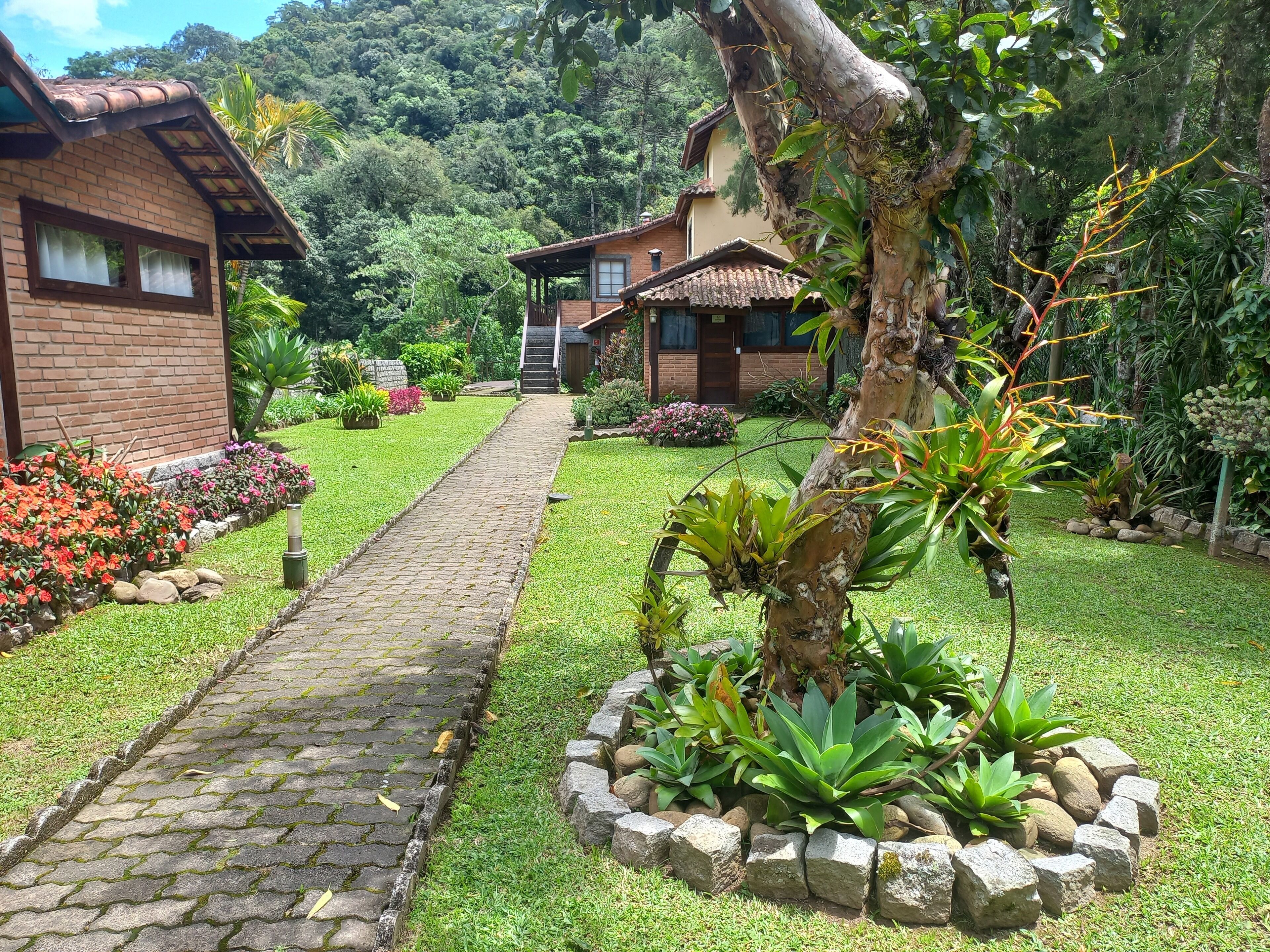 A pathway leading to a rustic house surrounded by lush greenery and a variety of plants.