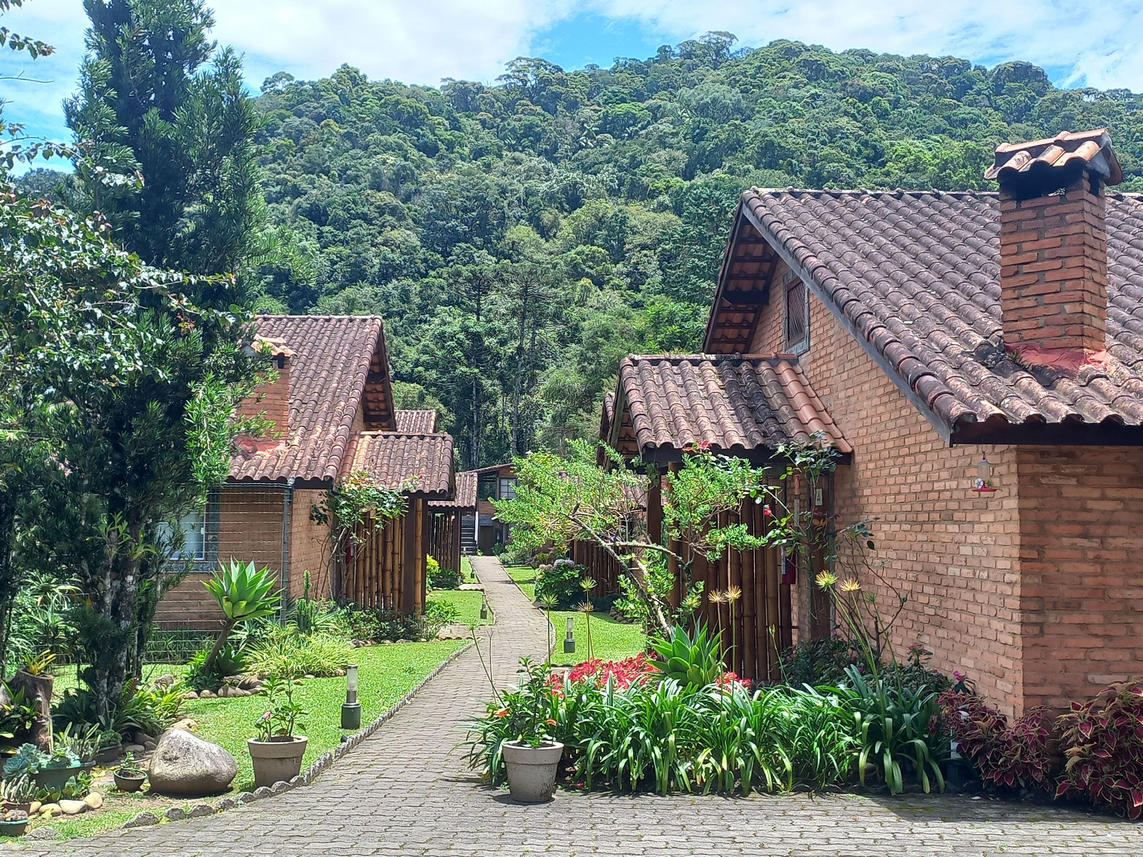A row of brick houses with tiled roofs, surrounded by lush greenery and a paved pathway.