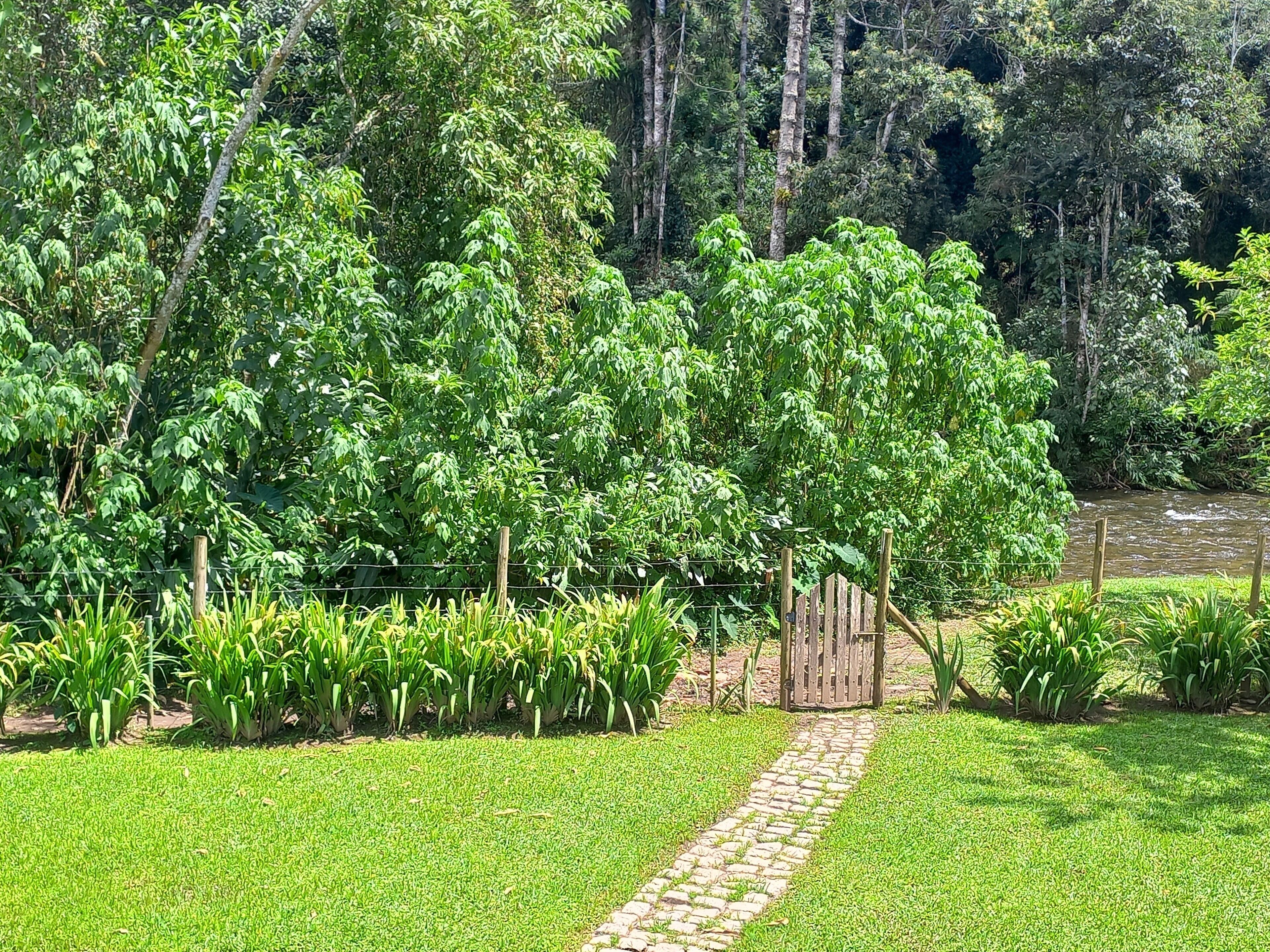 Un jardín con un camino de piedra que lleva a una puerta de madera, rodeado de abundante follaje y árboles.