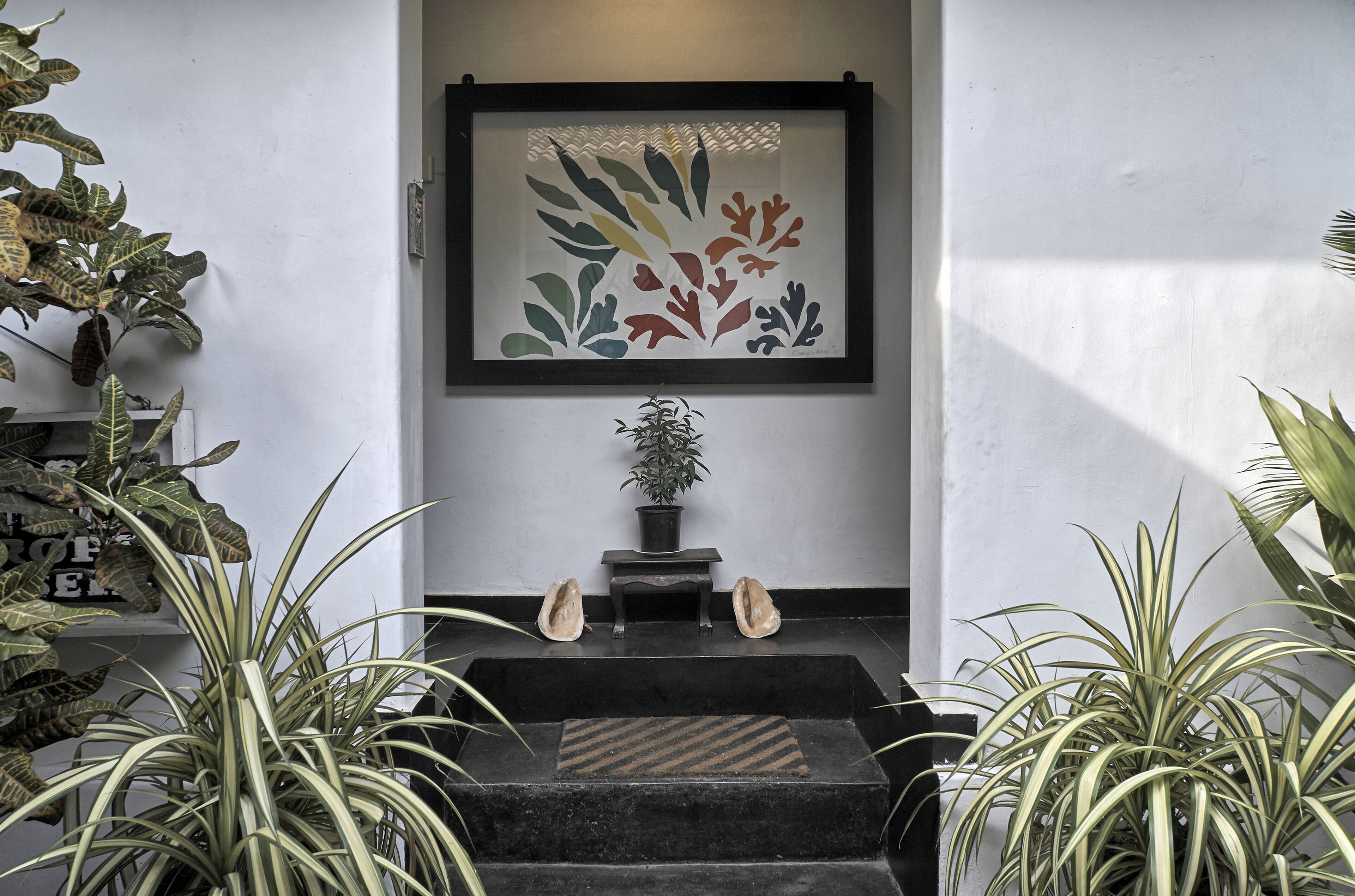 Foto - The Icebear Guesthouse