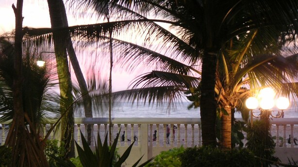 A coastal view with a balcony overlooking the sea, palm trees, and a fence. - The Icebear Guesthouse (Negombo)