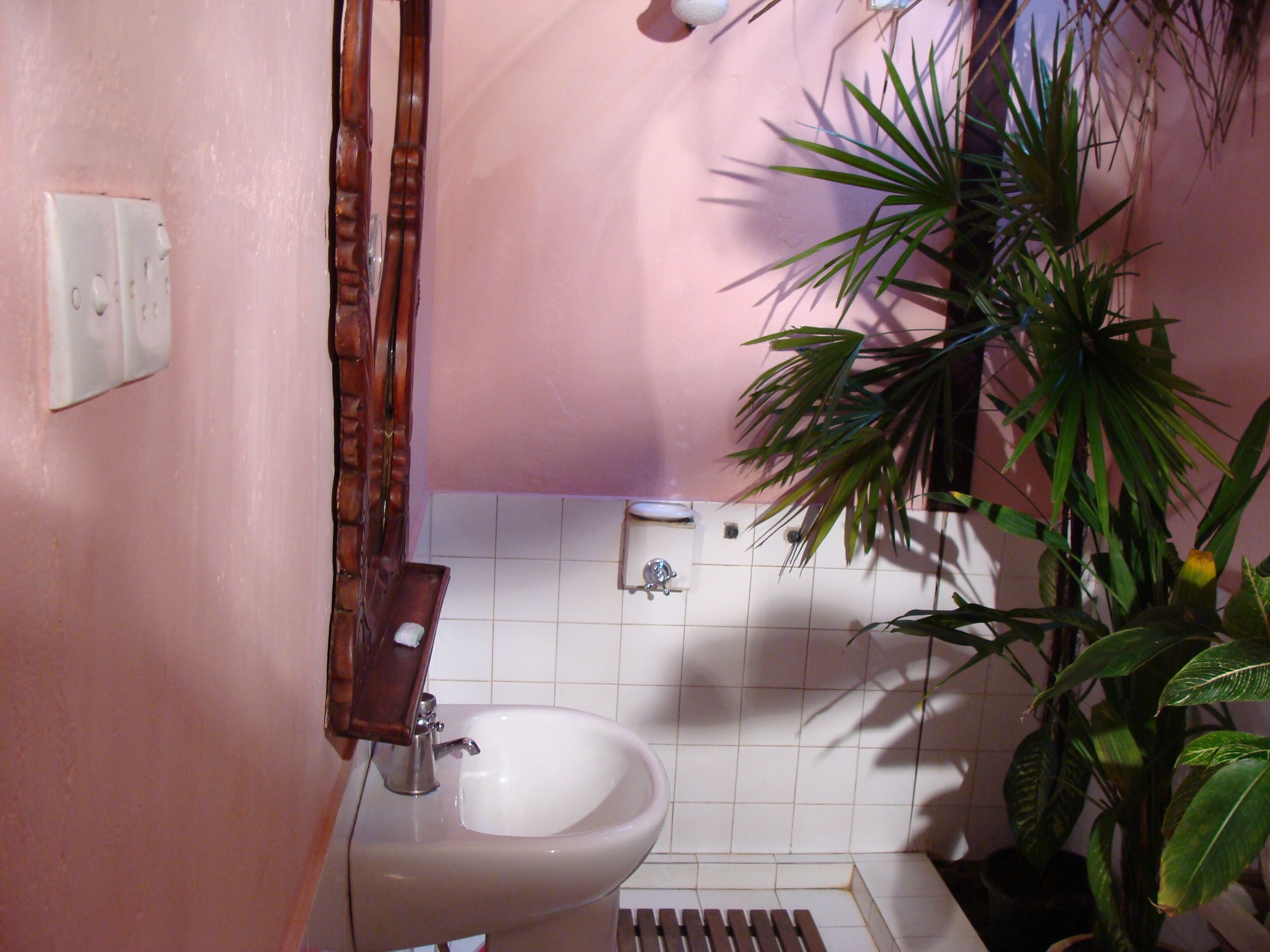 Foto - The Icebear Guesthouse