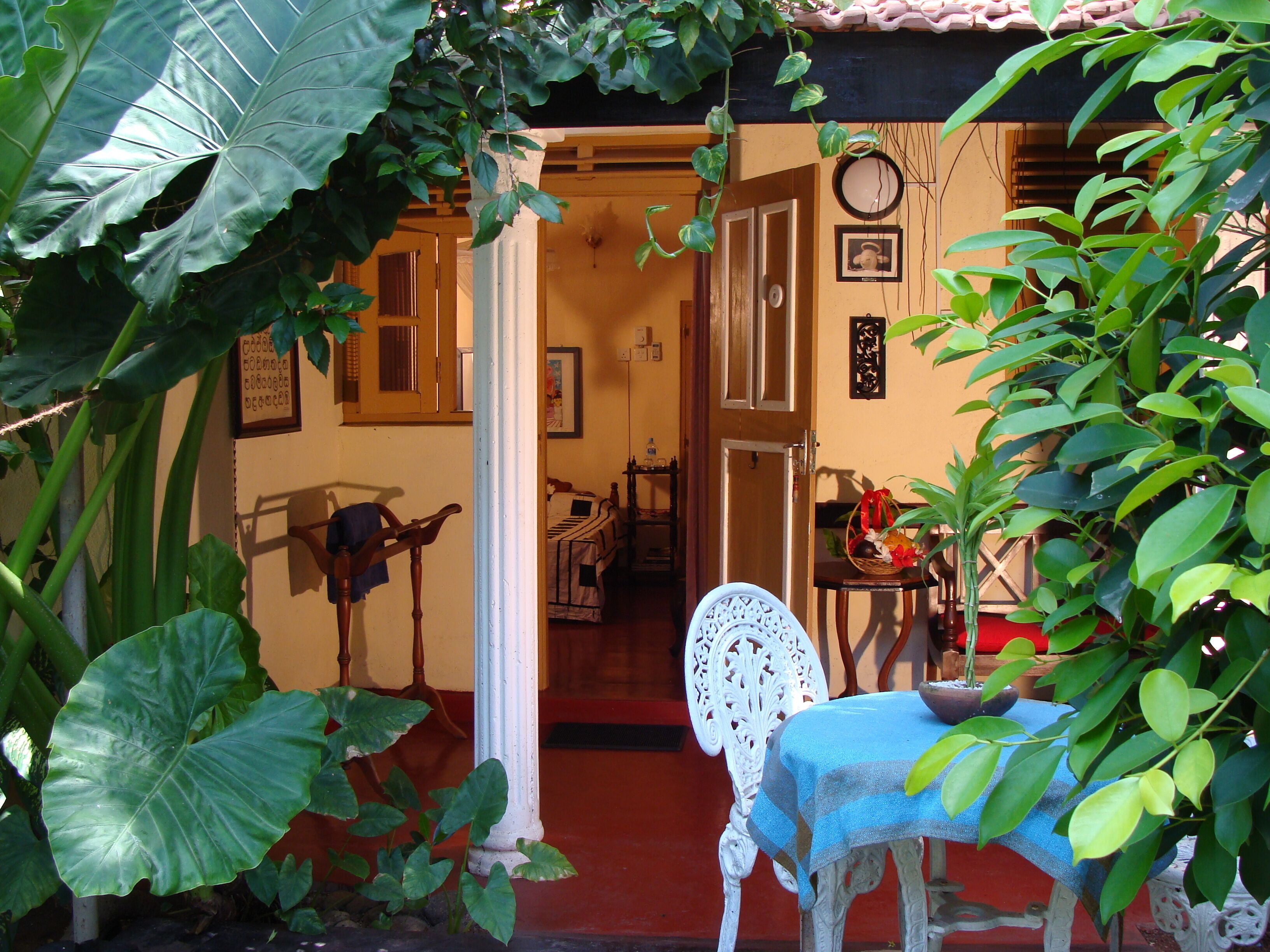 A room with a bed, a chair, and a table with a blue tablecloth. There is a large plant in the foreground and a door leading to another room.