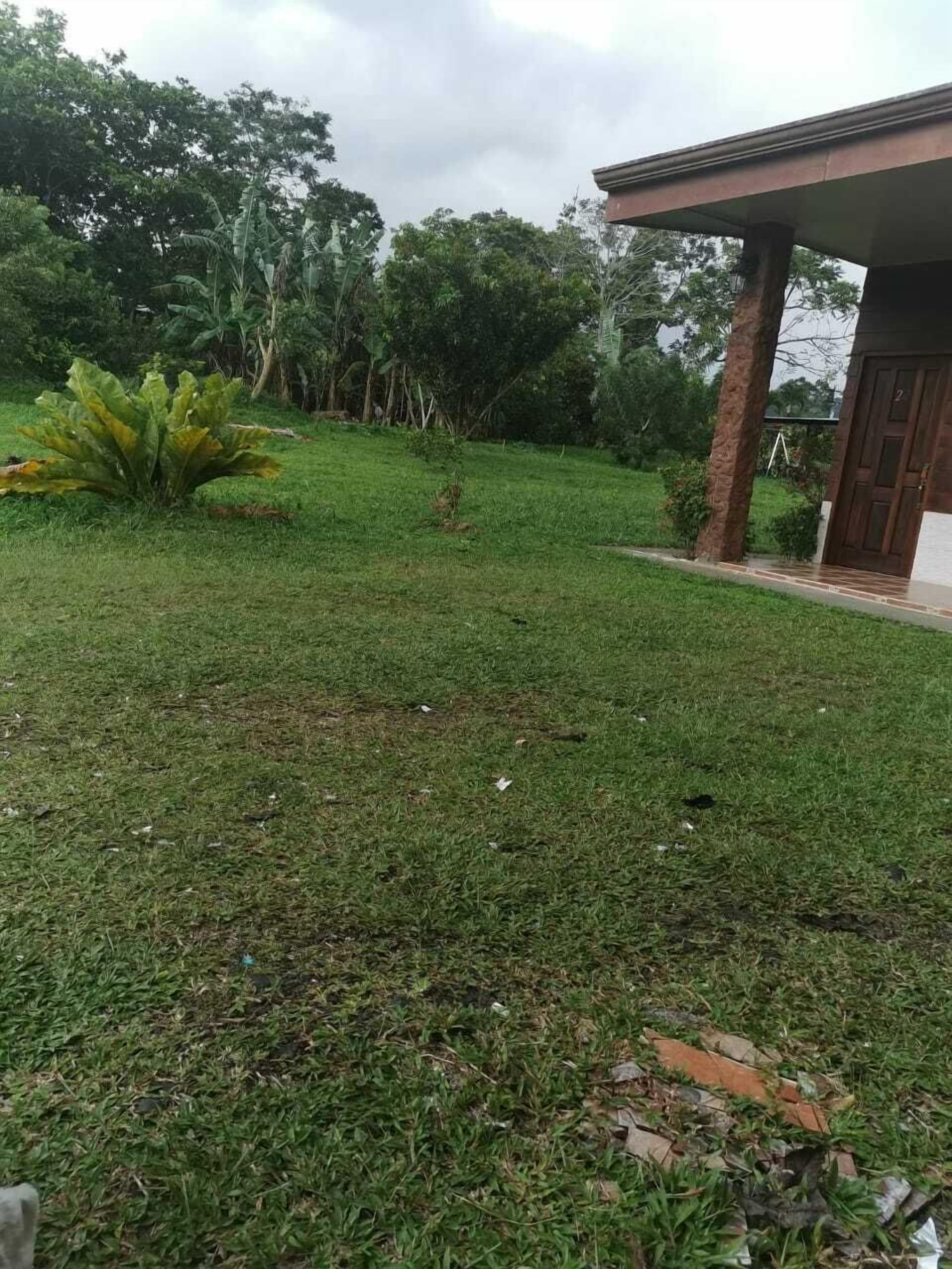 A grassy area with a small building and trees in the background.
