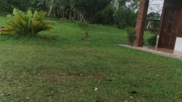 A grassy area with a small building and trees in the background.