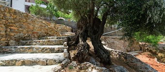 Aoria Traditional House