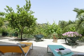 テラス / パティオ