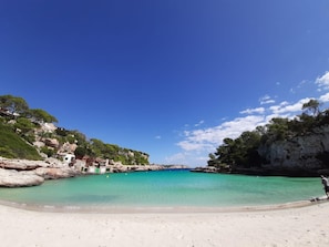 Plage à proximité, chaises longues, serviettes de plage