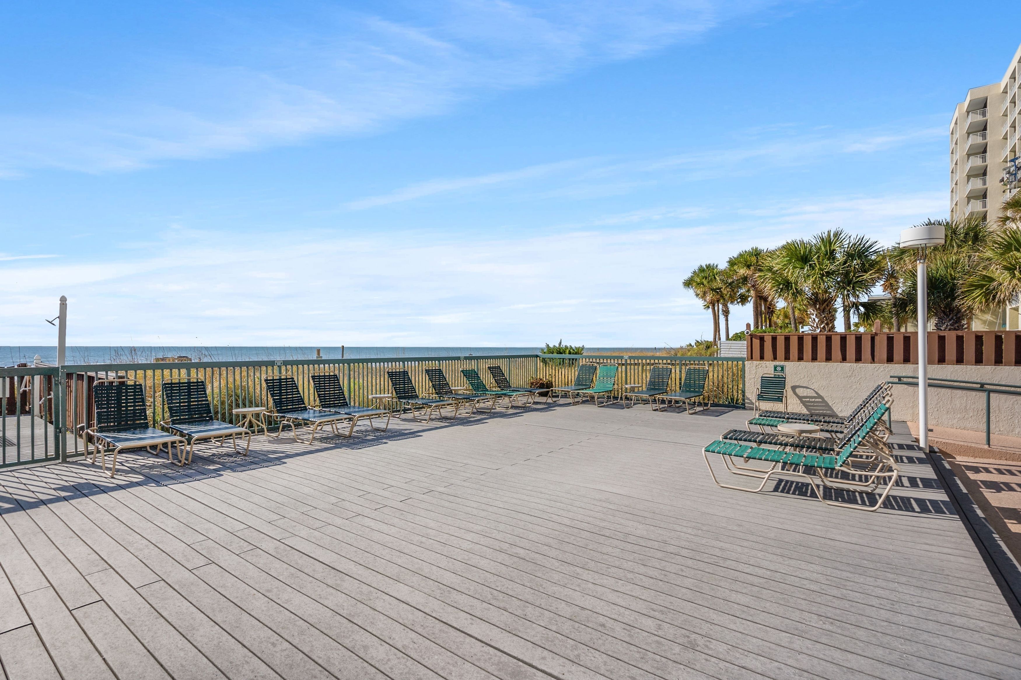A wooden deck with lounge chairs, a palm tree, and a view of the ocean.