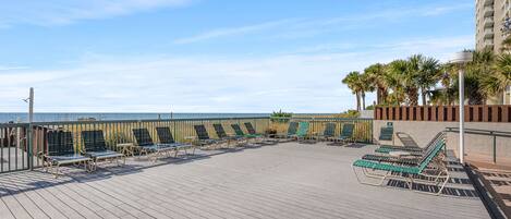 A wooden deck with lounge chairs, a palm tree, and a view of the ocean.
